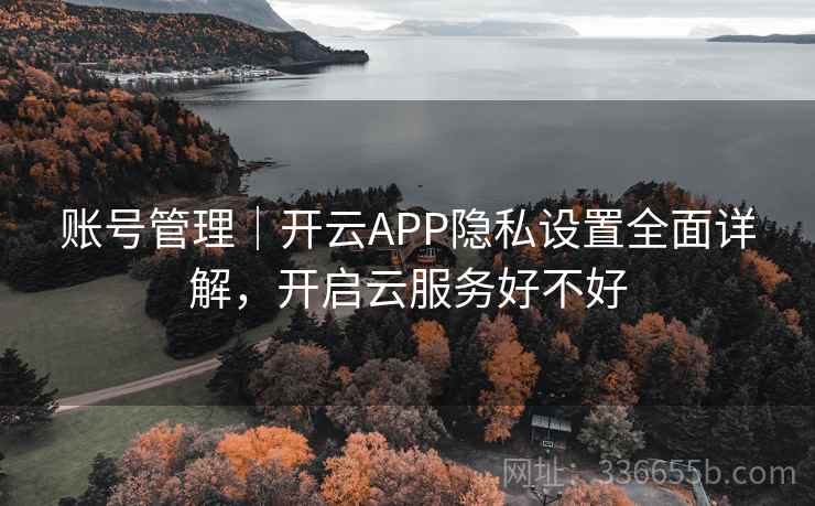 账号管理｜开云APP隐私设置全面详解，开启云服务好不好