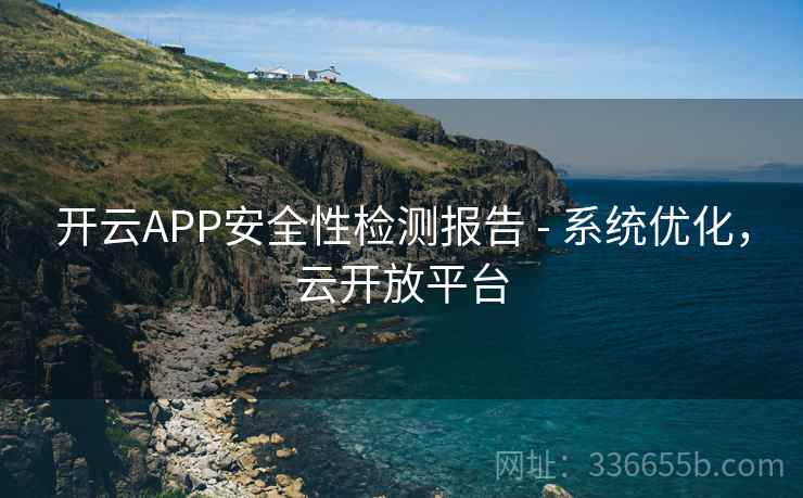 开云APP安全性检测报告 - 系统优化，云开放平台